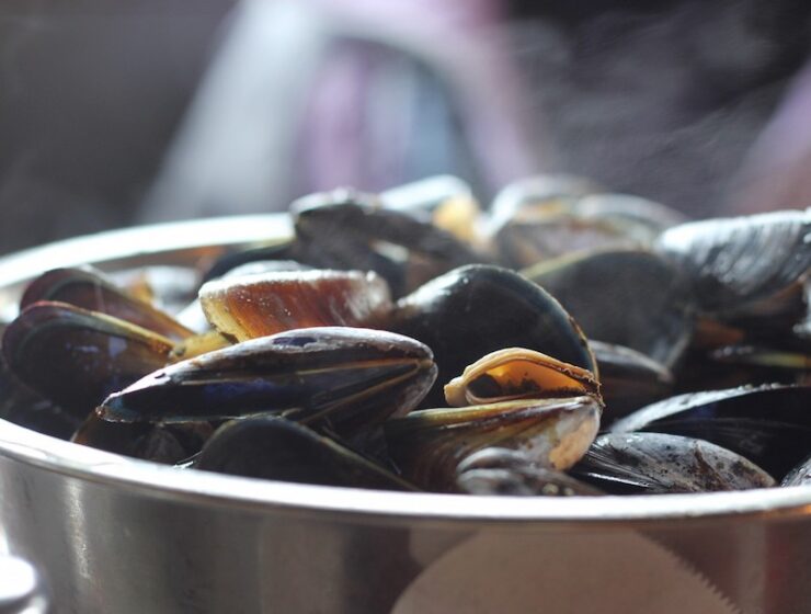 A Quick and Easy Cockles and Mussels Recipe - Ready in Minutes - The Life of Stuff