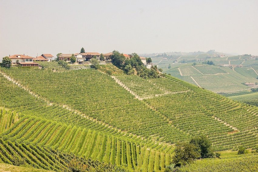 Bevvy of the Week - Barolo Wine from Piedmonte in Italy