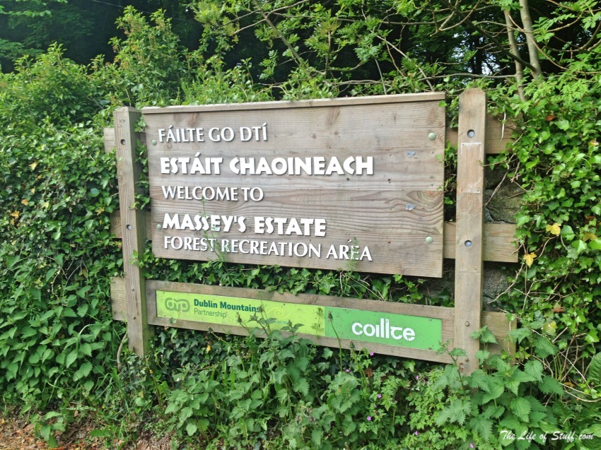Massy's Estate, at the foot of the Dublin Mountains - Entrance