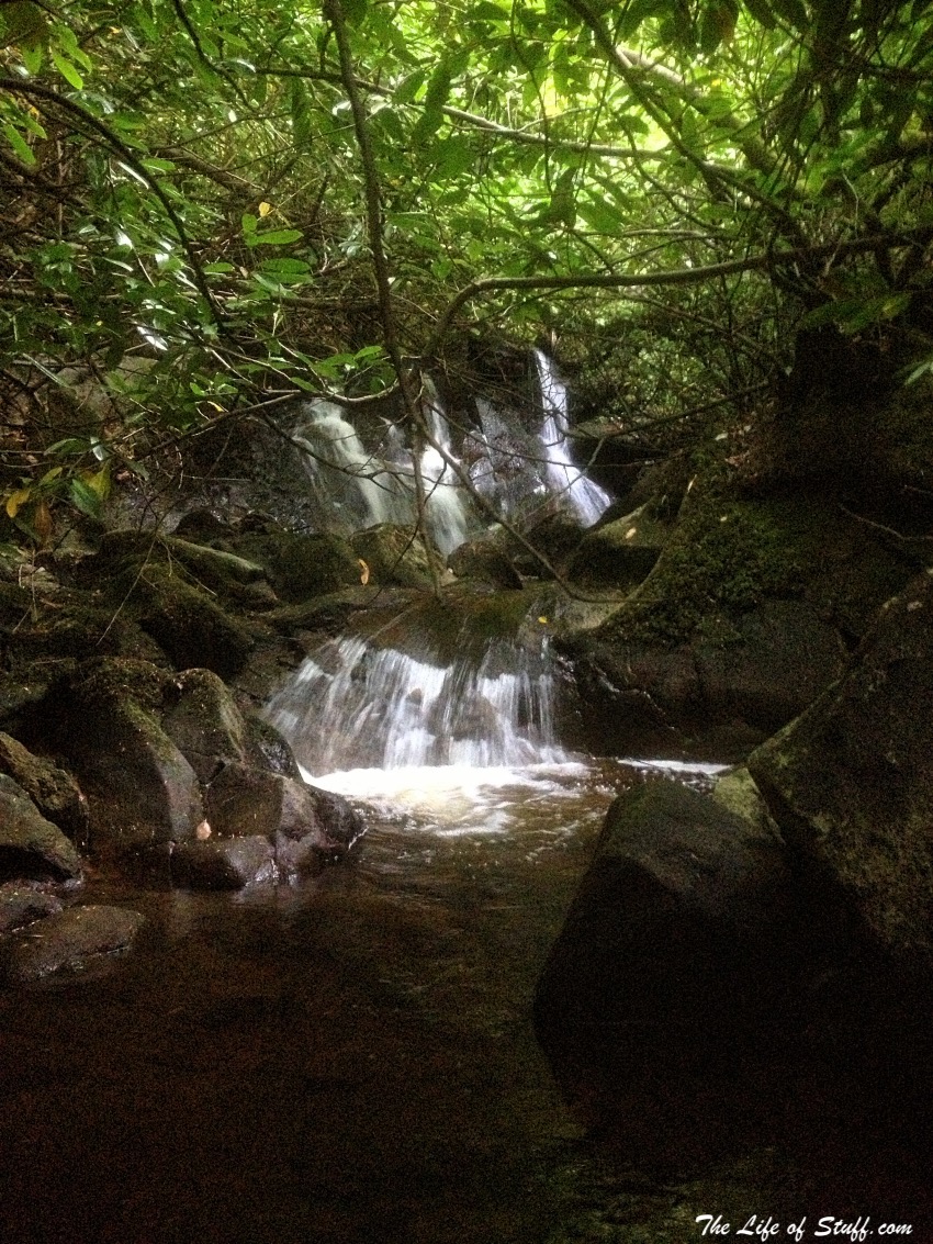 Massy's Estate, at the foot of the Dublin Mountains - The Waterfall