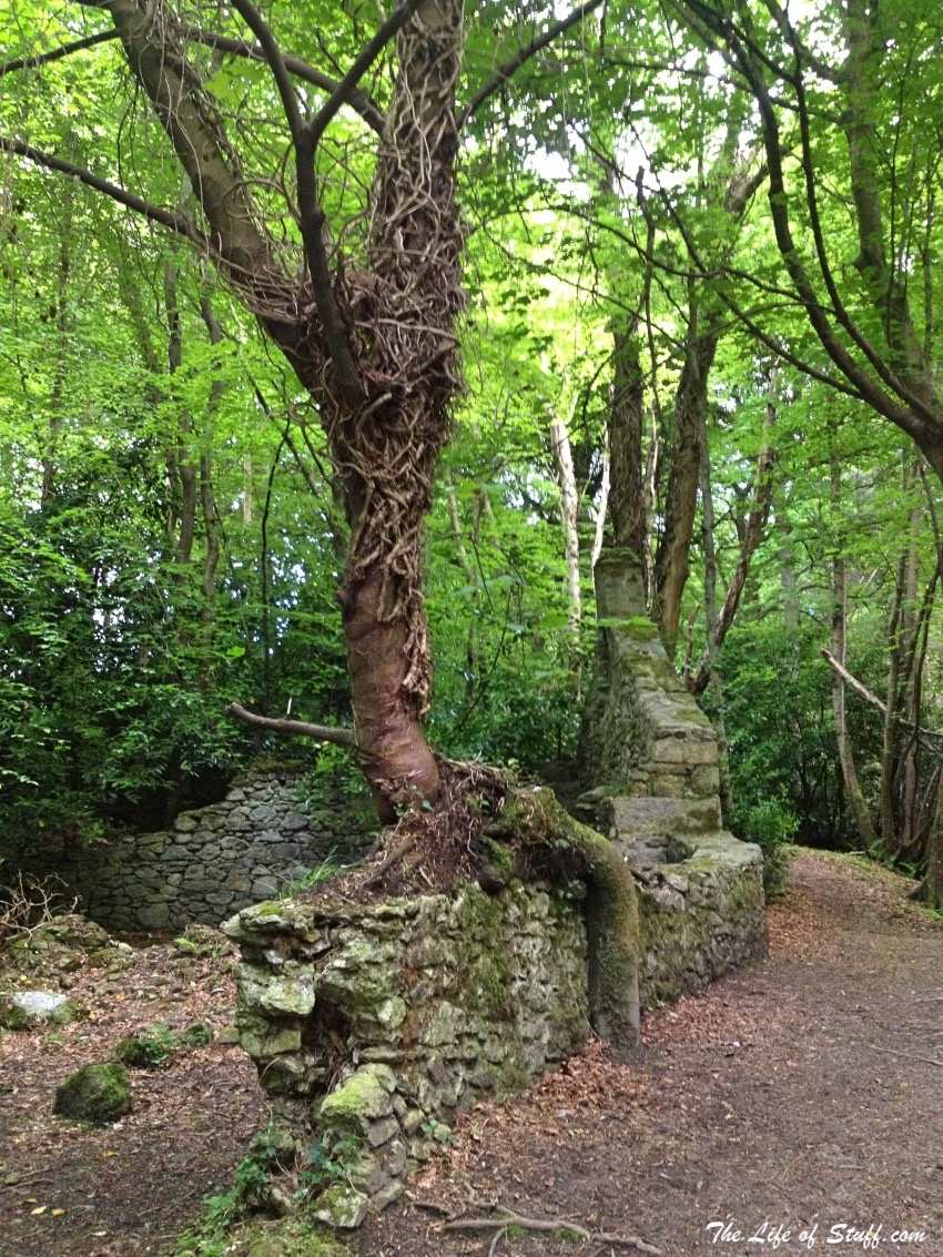 Massy's Estate, at the foot of the Dublin Mountains - Trees and Walls
