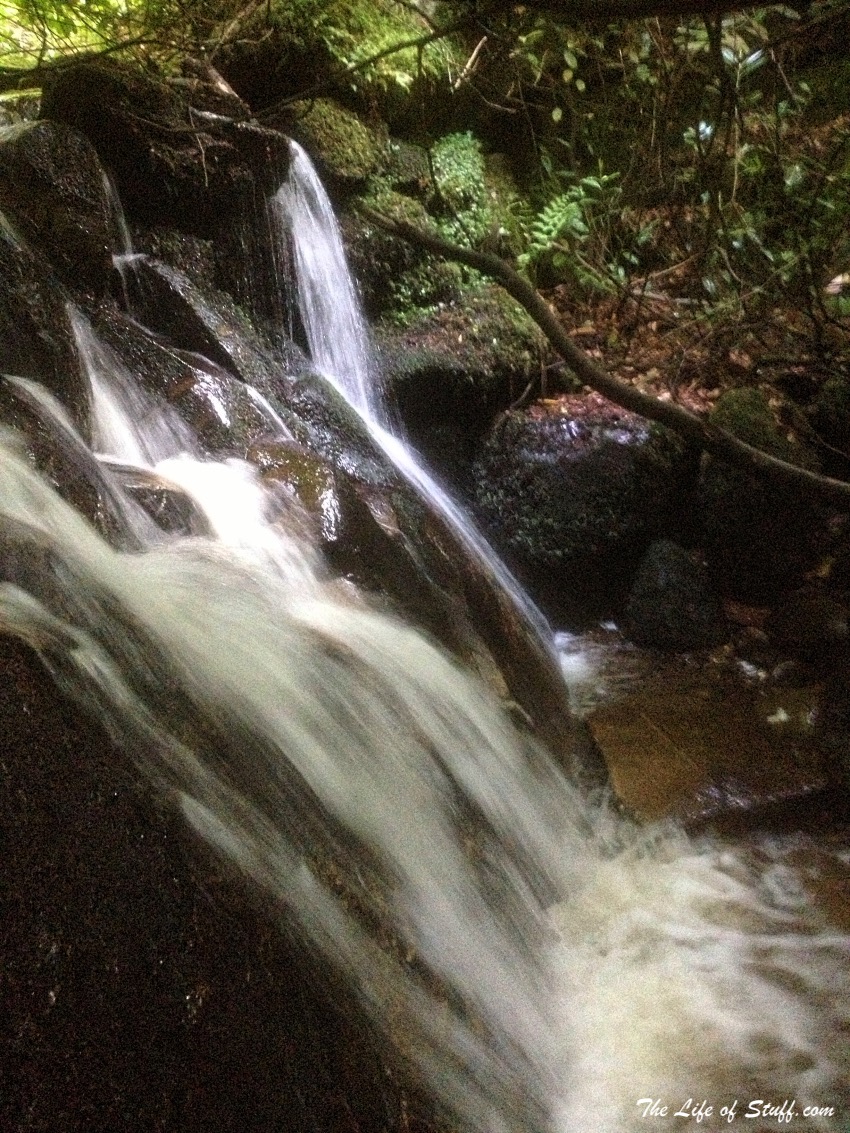 Massy's Estate, at the foot of the Dublin Mountains - Waterfall Waters