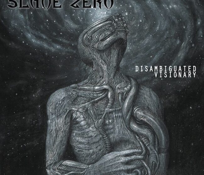 Slave Zero Disambiguated Visionary EP
