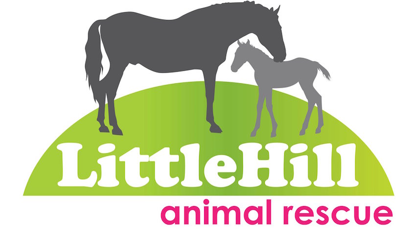 The Life of Stuff - LittleHill Animal Rescue