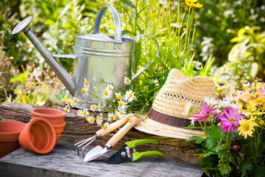 How to Spruce Up Your Garden in Time for Spring