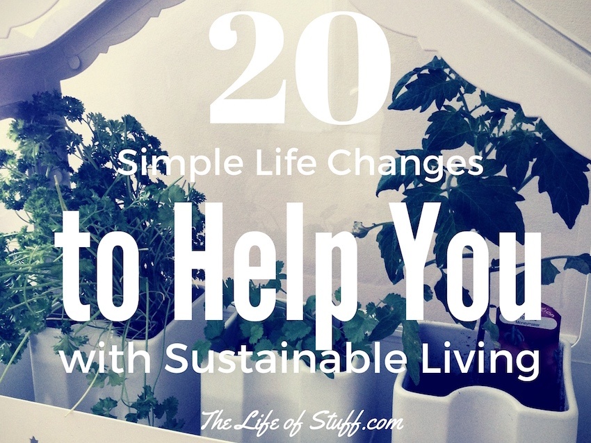 20 Simple Life Changes to Help You with Sustainable Living