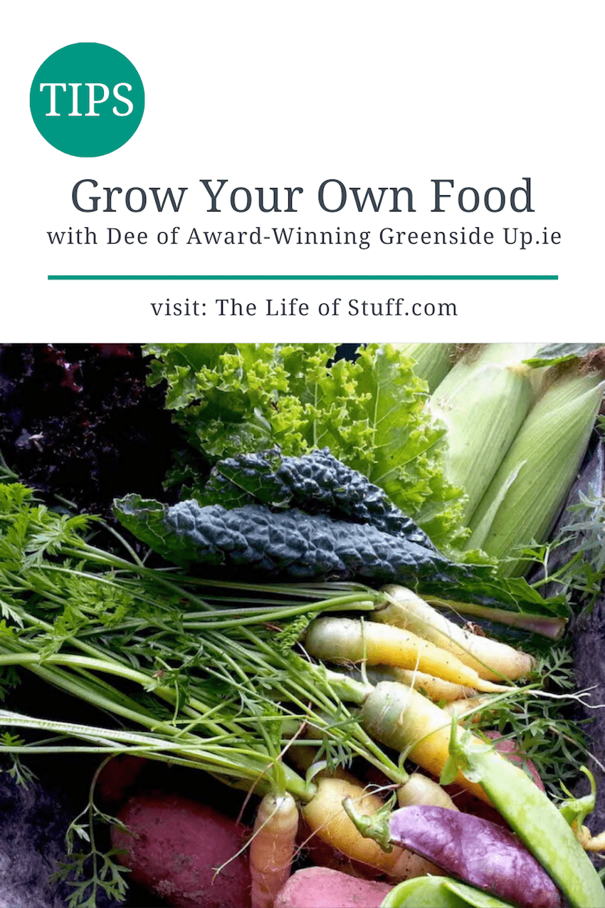 Grow Your Own Tips from Dee of Award-Winning Greenside Up - The Life of Stuff