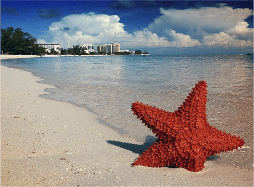 Caribbean Cruise Holidays: 7 Destinations and Highlights