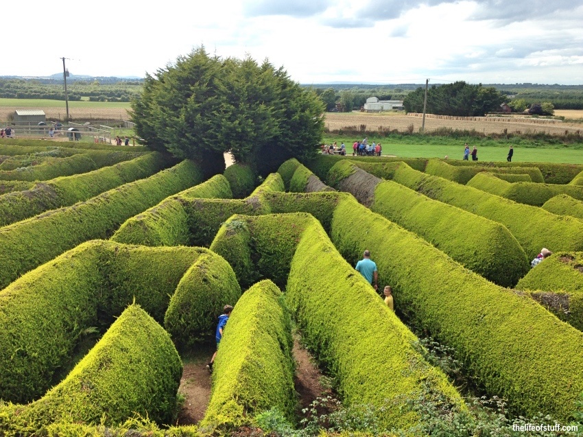 A Family Day Out at The Kildare Maze, Naas, Co. Kildare