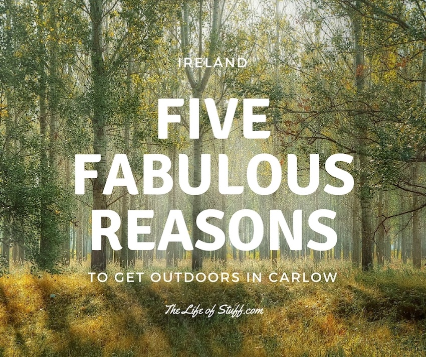 Family Friendly: Five Fabulous Reasons to Get Outdoors in Carlow, Ireland