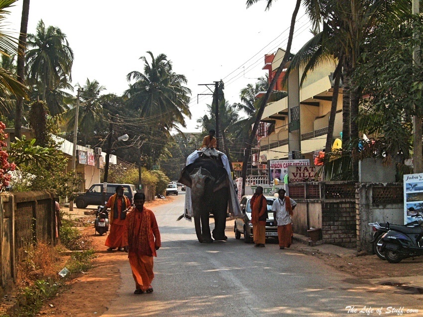 Five Fabulous Reasons to Visit Goa, India - Elephant and Monks