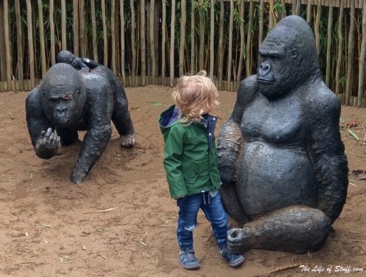 Cultural, Educational, Fun Things to Do for Toddlers in Dublin -Dublin Zoo