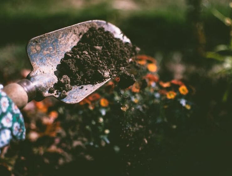 Gardening Tips - Preparing Your Garden for Autumn and Winter - Compost