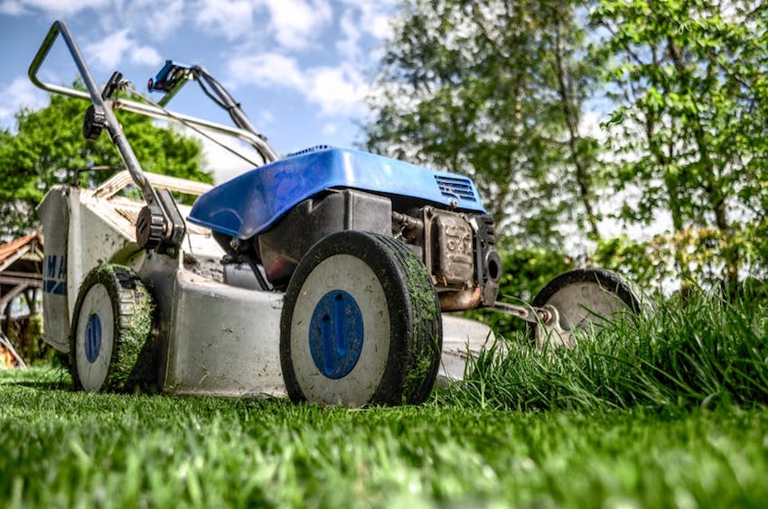 Gardening Tips - Preparing Your Garden for Autumn and Winter - Mow the Lawn