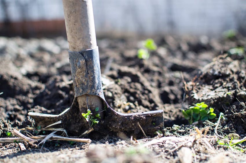 Gardening Tips - Preparing Your Garden for Autumn and Winter - Soil