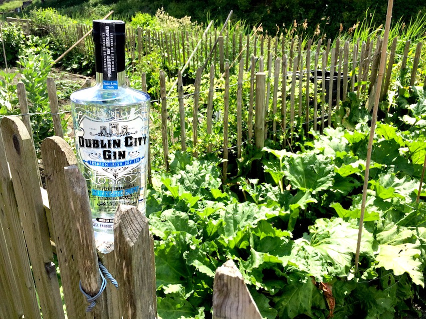 The Food & Drink Series - Gin Talk with Jim O'Connor of Dublin City Gin - Allotments - Grand Canal