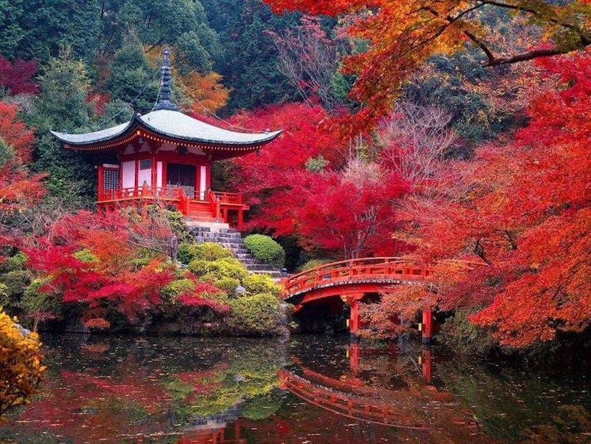 Wanderlust - Eight Bucket List Destinations to Visit in Your Lifetime - Japan