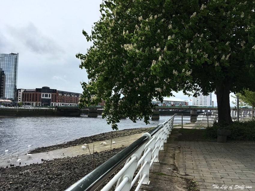 Walk along the River Shannon Limerick