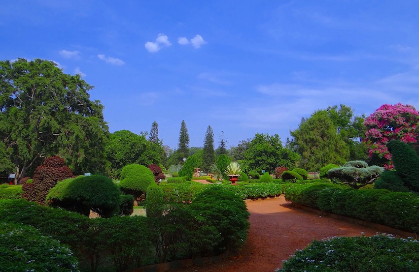 Bengaluru (Bangalore) India - Lalbagh Botanical Garden