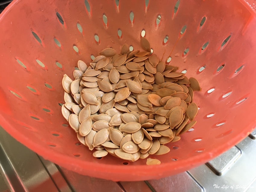 Roasted Cinnamon and Chilli Pumpkin Seeds Recipe - Wash Seeds