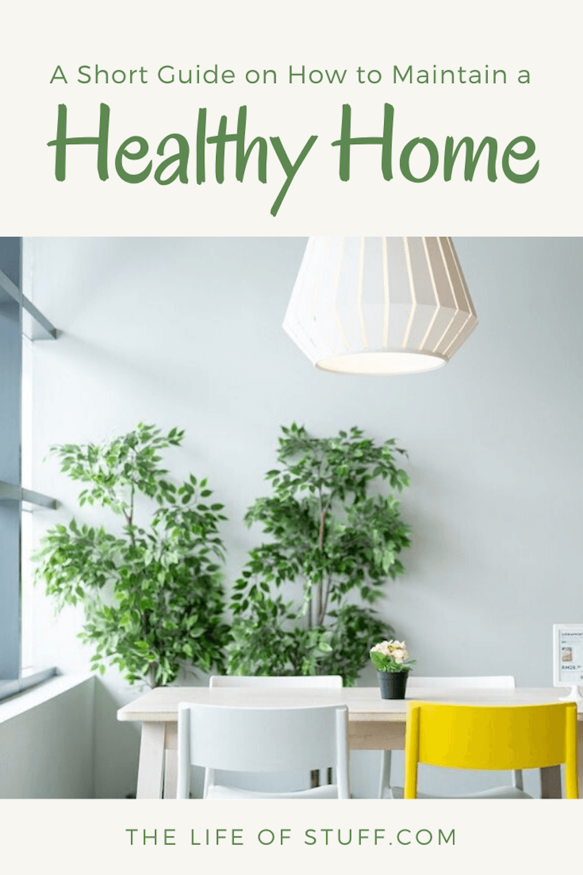 A Short Guide on How to Maintain a Healthy Home - The Life of Stuff