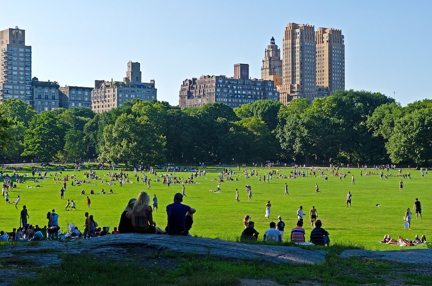 Top Five Things to See and Do in New York City on Your First Visit - Central Park Summer