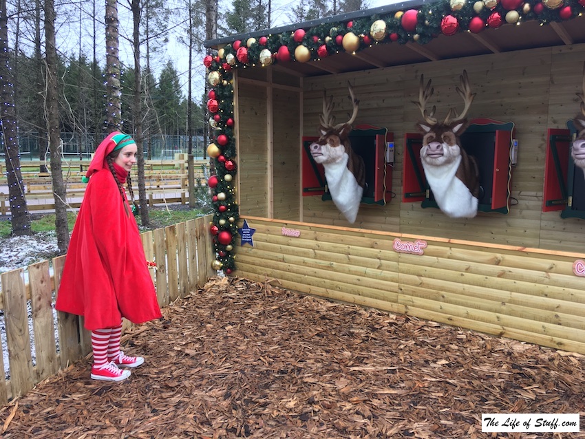 Winter Wonderland at Center Parcs Ireland - 10 Top Tips for a Great Stay - Elf