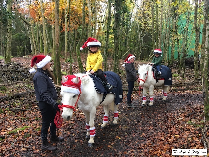 Winter Wonderland at Center Parcs Ireland - 10 Top Tips for a Great Stay - Festive Pony Ride