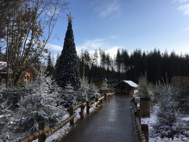 Winter Wonderland at Center Parcs Ireland - 10 Top Tips for a Great Stay - Winter Wonderland Blue Skies
