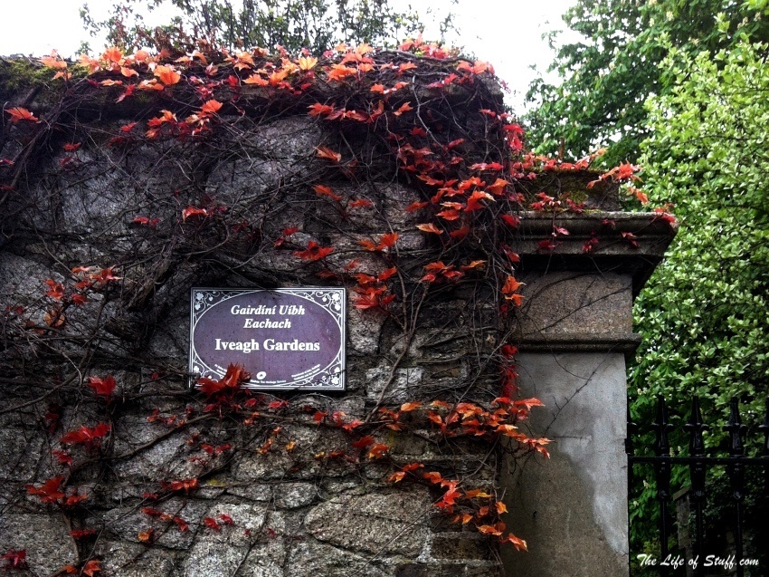 The Blooming Best - Five Gorgeous Gardens to Walk in Dublin City - Iveagh Gardens Dublin