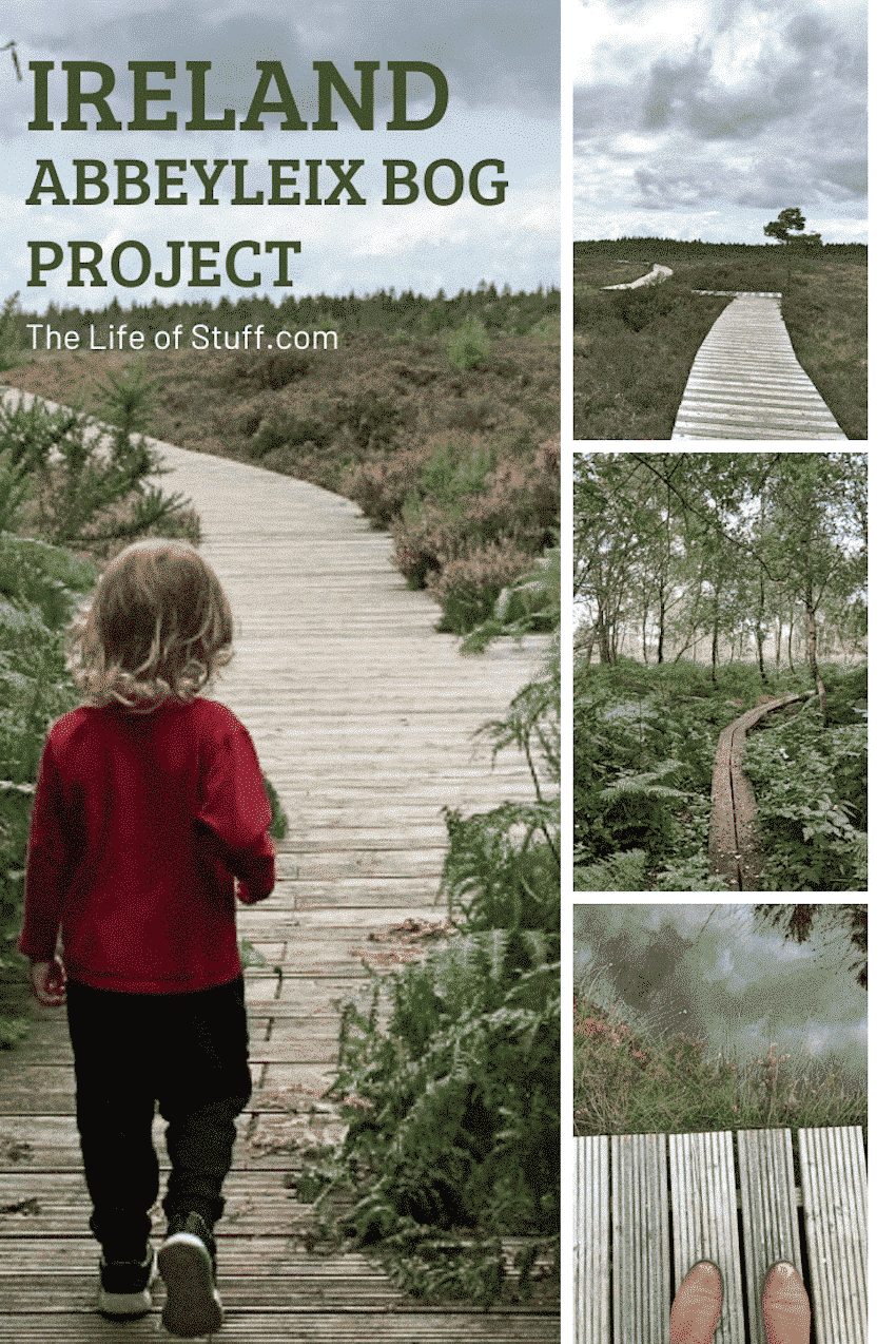 Abbeyleix Bog Project - A Beautiful Bog Boardwalk through Irish Nature - The Life of Stuff