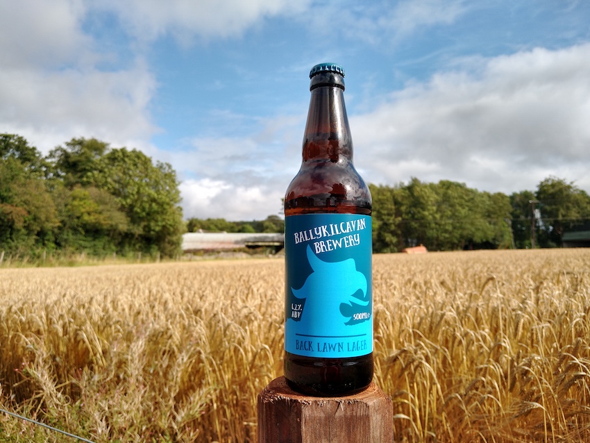 The Food & Drink Series – Beer Talk with David of Ballykilcavan Brewery - Back Lawn lager