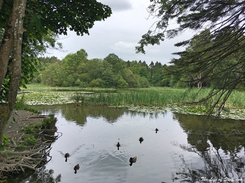 12 Fabulous Free Reasons to Get Outdoors in County Kildare - Donadea Lake