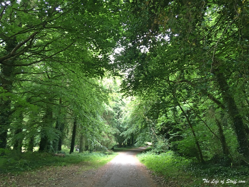 12 Fabulous Free Reasons to Get Outdoors in County Kildare - Donadea Woods