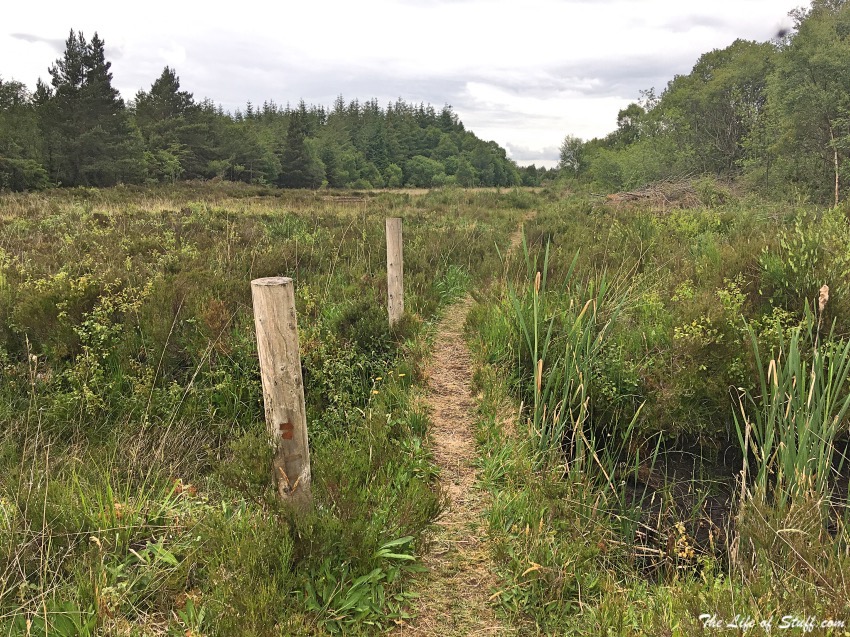 12 Fabulous Free Reasons to Get Outdoors in County Kildare - The Bog of Allen - Lullymore Bog Walk