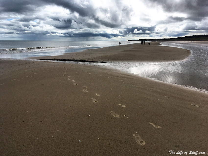 Captivated by Curracloe Beach in Co. Wexford - Footprints