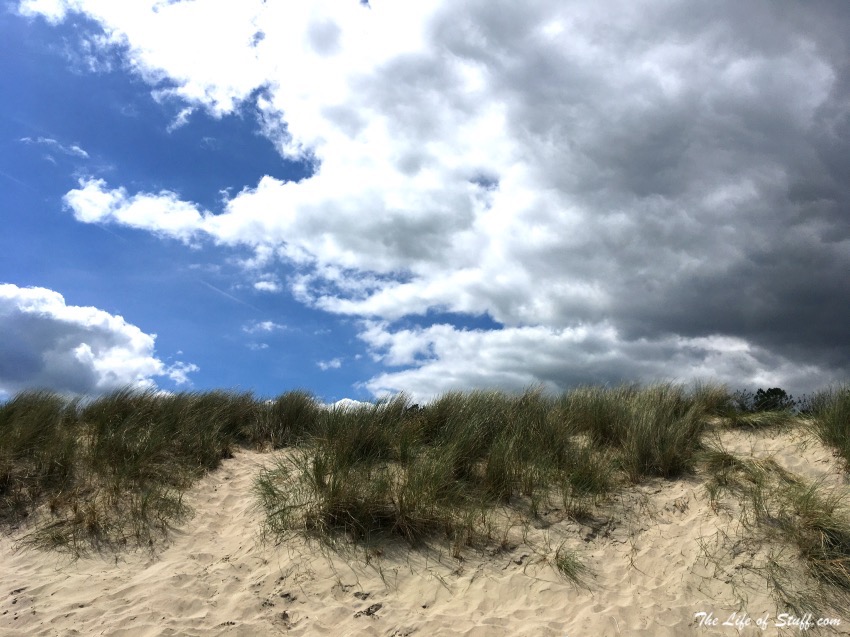 Captivated by Curracloe Beach in Co. Wexford - Raven Wood Sand Dunes