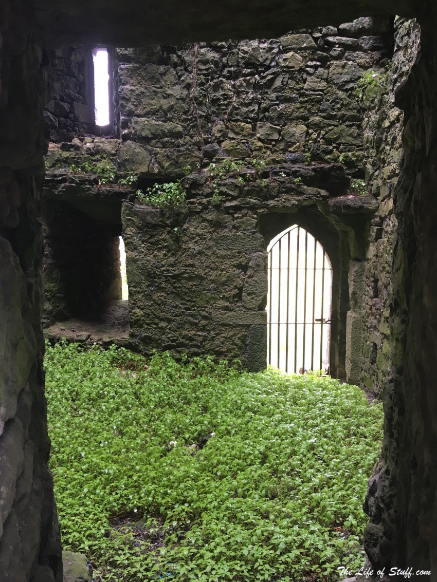 Exploring Kells Priory in Co. Kilkenny, Ireland - Nature taking over