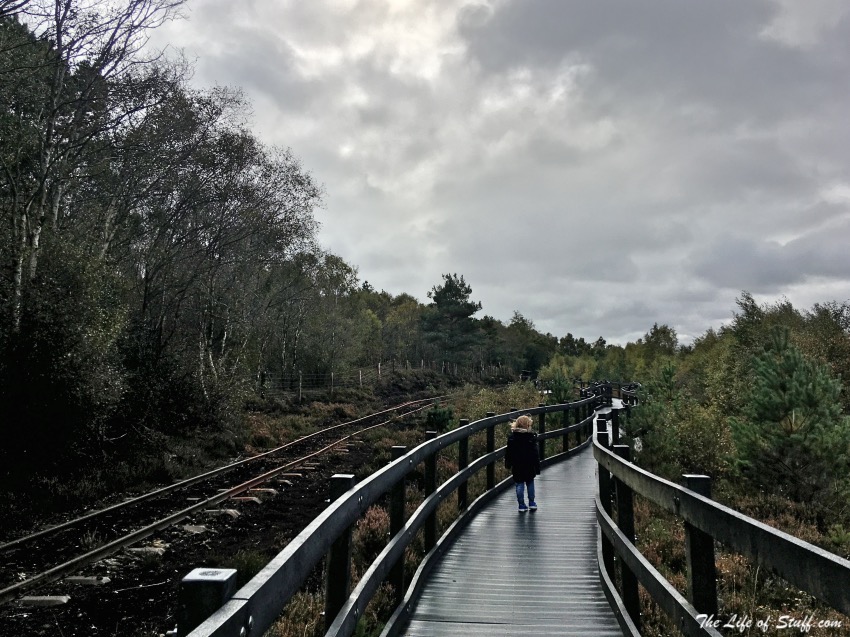 Adventure at Lullymore Heritage and Discovery Park, Kildare - Biodiversity Bog Boardwalk