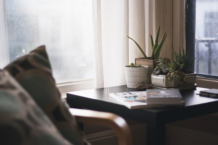 New Home? 4 Ways To Feel Comfortable As Soon As You Move In - The Keys to Your New Home - Houseplants