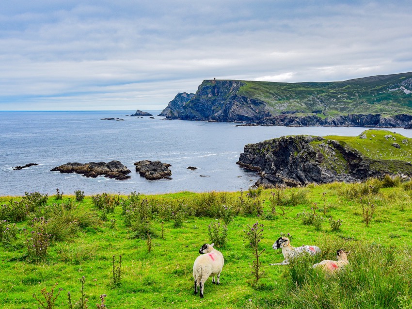 The Life of Stuff - Travel Tip – 3 of the Best Souvenirs from Ireland
