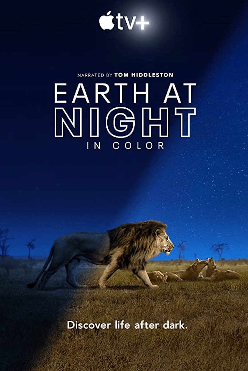 The Ultimate Guide to Brilliant Binge-Worthy TV Shows - Earth at Night in Color (2020)