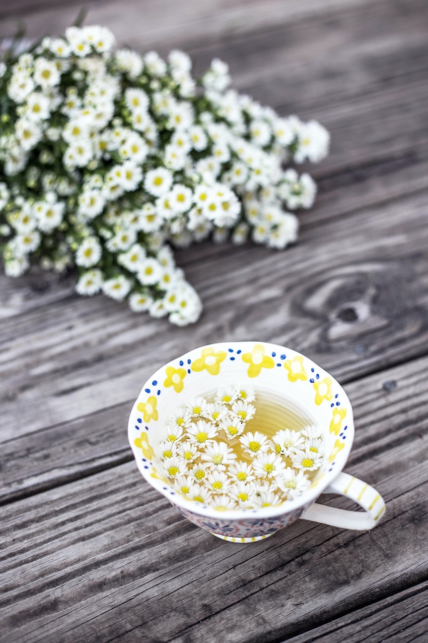 3 Soothing Herbs That Help You Relax - Chamomile