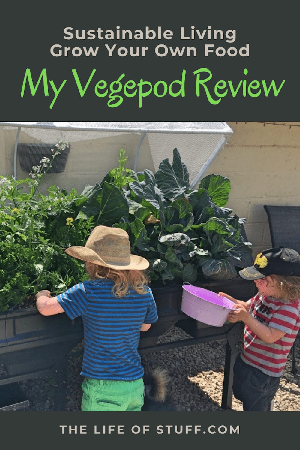 Sustainable Living – My Vegepod Review - Grow Your Own Food - The Life of Stuff