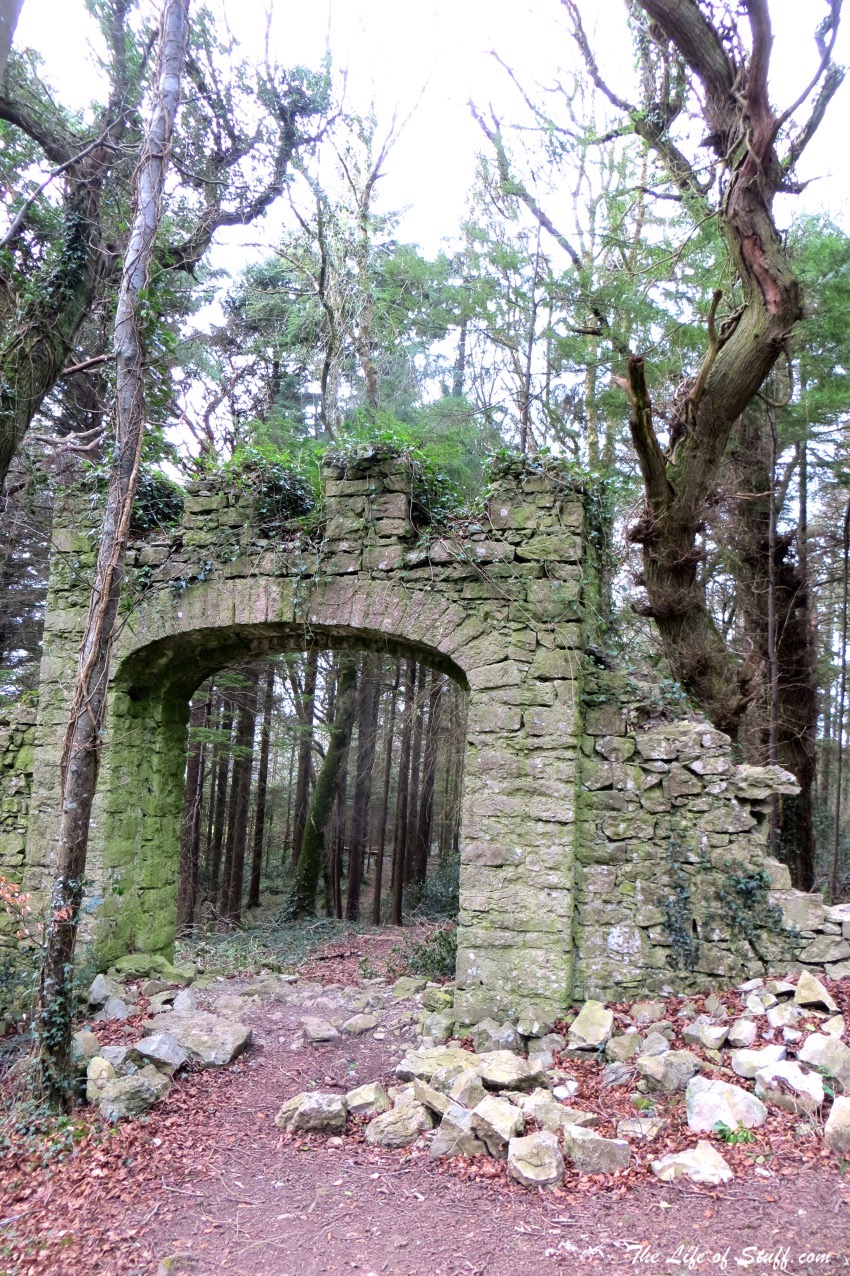 Visit Laois – 10 Fabulous Free Things to Do Outdoors - Oughaval Woods Ruins
