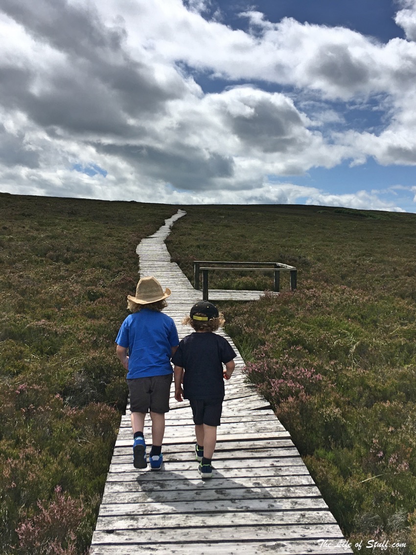 Visit Laois – 10 Fabulous Free Things to Do Outdoors - Slieve Bloom Mountains Boardwalk