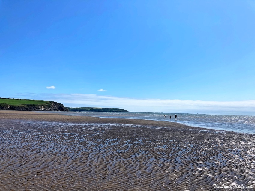 Duncannon Beach, A Family-Friendly Drive-On Beach in Wexford - Tide Out on Beach