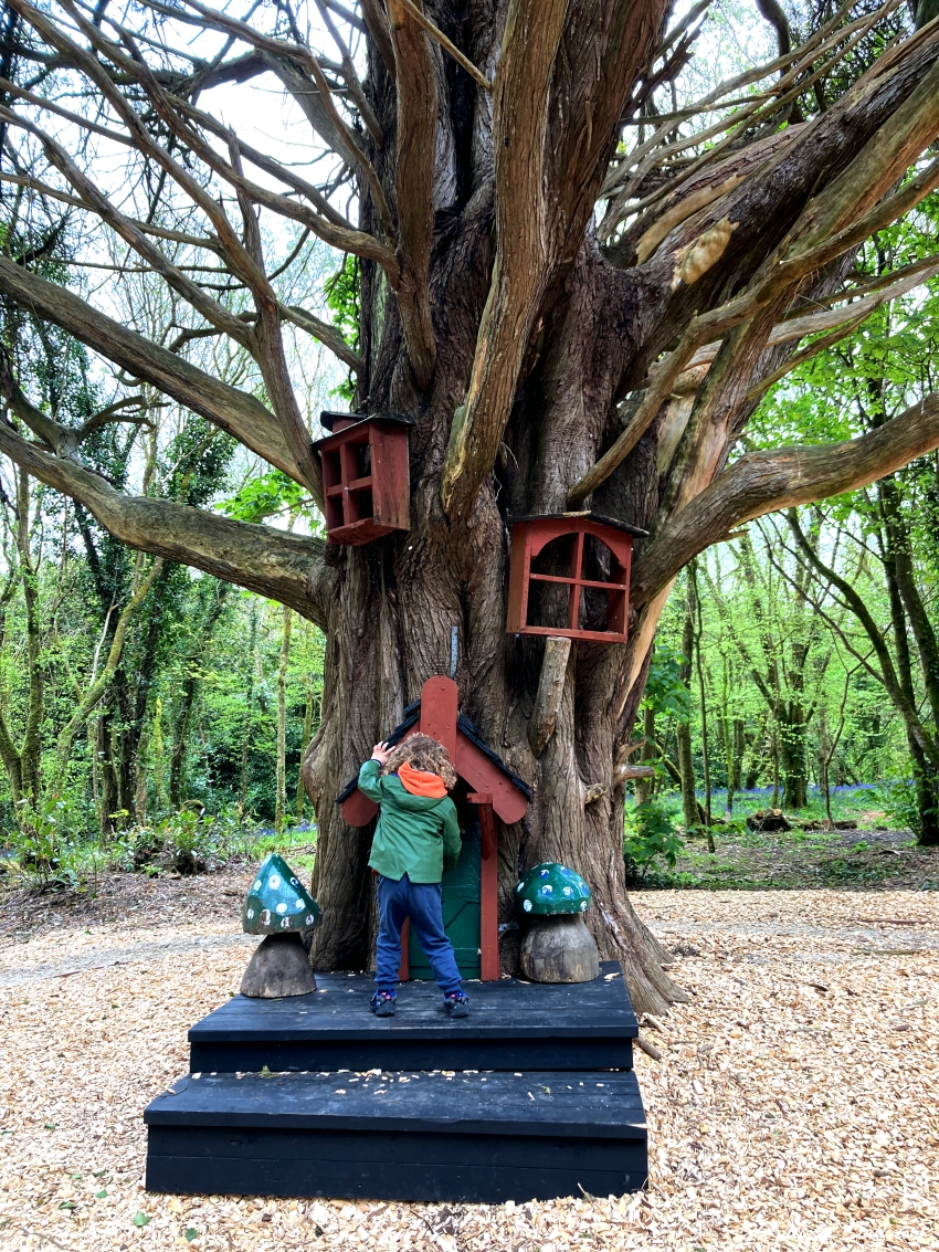Castlecomer Discovery Park Kilkenny - For All Seasons - Cassidy in Elf Village