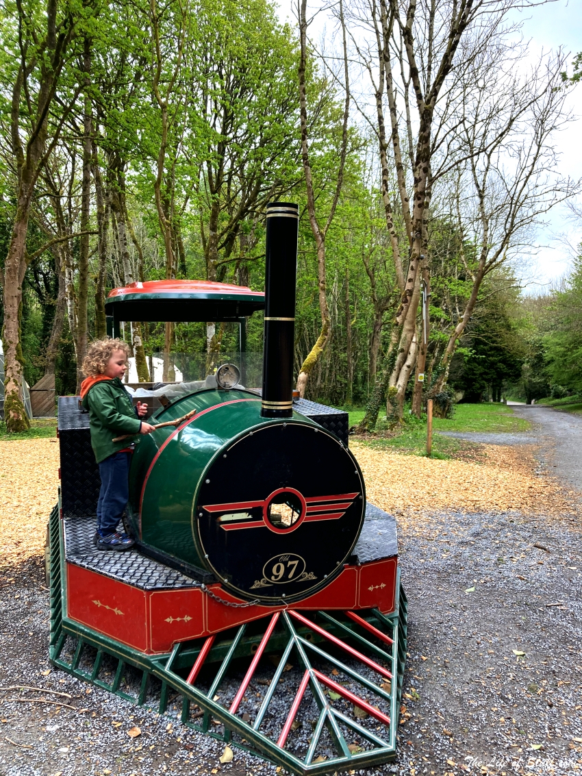 Castlecomer Discovery Park Kilkenny - For All Seasons - Cassidy on Elf Village Train