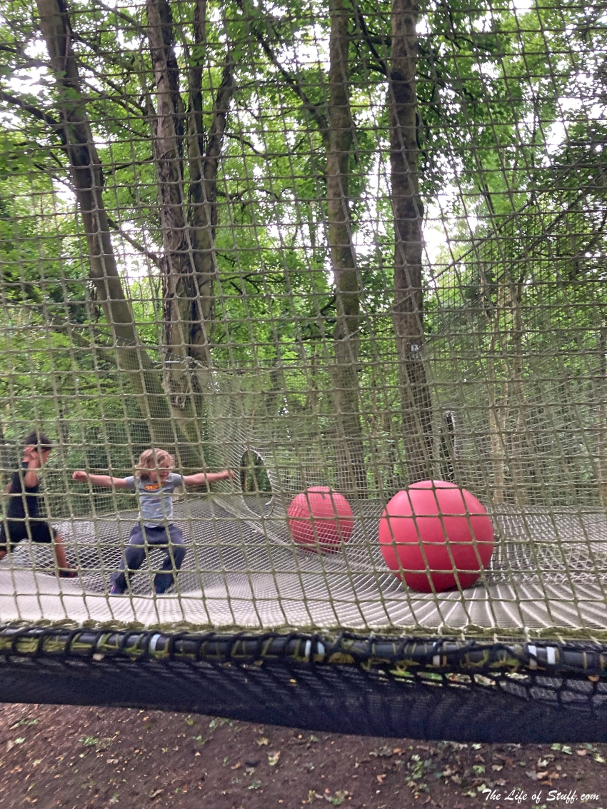 Castlecomer Discovery Park Kilkenny - For All Seasons - Junior Woodland Adventure - Smith on Bouncing Net